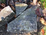 image of grave number 365041